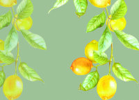 Обложка lemon tree для паспорта / автодокументов