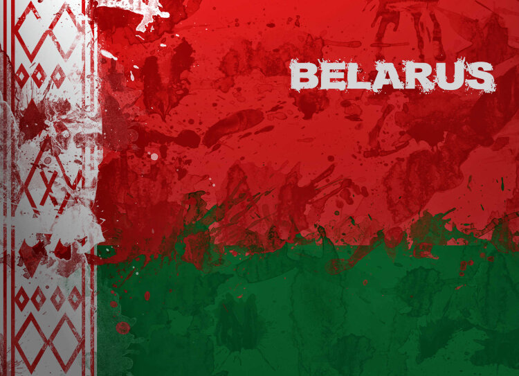 Обложка Беларусь для паспорта / автодокументов