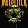 Обложка Metallica v4 для паспорта / автодокументов