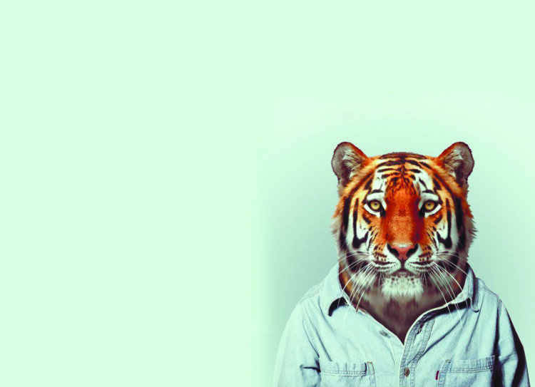 Обложка Тигр в рубашке для паспорта / автодокументов
