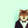 Обложка Волк в костюме для паспорта / автодокументов