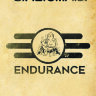 Обложка Fallout Endurance для паспорта / автодокументов