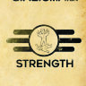 Обложка Fallout Strength для паспорта / автодокументов