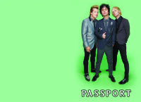 Обложка Green Day v2 для паспорта / автодокументов