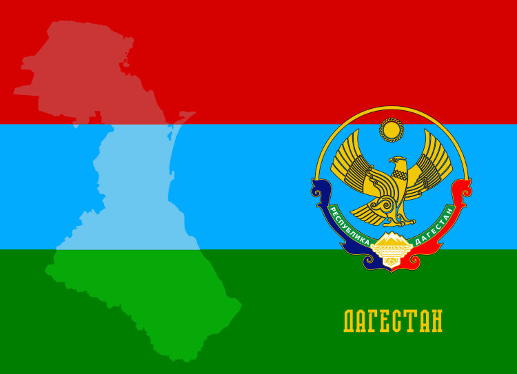 Обложка Дагестан для паспорта / автодокументов