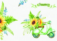 Обложка Green scooter для паспорта / автодокументов