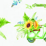 Обложка Green scooter для паспорта / автодокументов