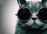 Обложка Кот в очках для паспорта / автодокументов