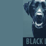 Обложка Black Lab для ВетКнижки