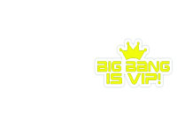 Обложка BigBangIs Vip для паспорта / автодокументов