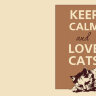 Обложка Keep Calm Cats для ВетКнижки