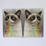 Кардхолдер Grumpy cat v2 для 2-х карт