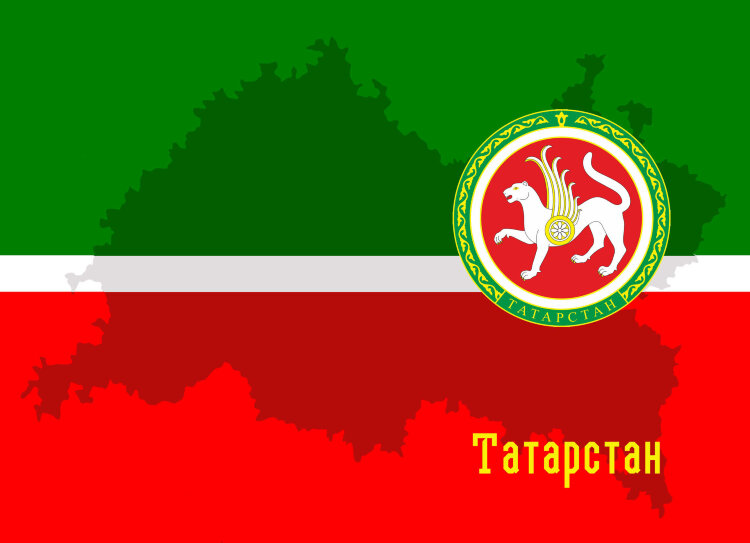 Обложка Татарстан для паспорта / автодокументов