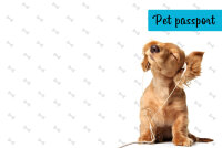 Обложка Pet Passport v2 для ВетКнижки