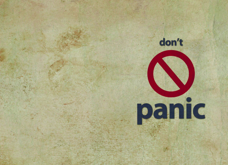Обложка Don't Panic me для паспорта / автодокументов