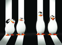 Обложка Пингвины для паспорта / автодокументов