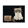 Обложка Grumpy cat для студенческого билета