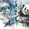 Обложка Панда для ВетКнижки