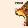 Обложка Русский медведь для паспорта / автодокументов