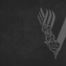 Обложка Vikings logo для паспорта / автодокументов