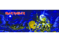 Обложка Iron Maiden для студенческого билета