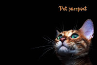 Обложка Рыжий кот для ВетКнижки
