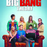 Обложка Big Bang Theory для паспорта / автодокументов