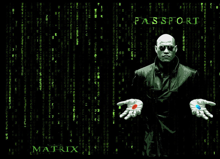 Обложка Matrix для паспорта / автодокументов