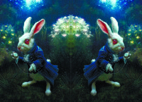 Обложка Алиса кролик для паспорта / автодокументов