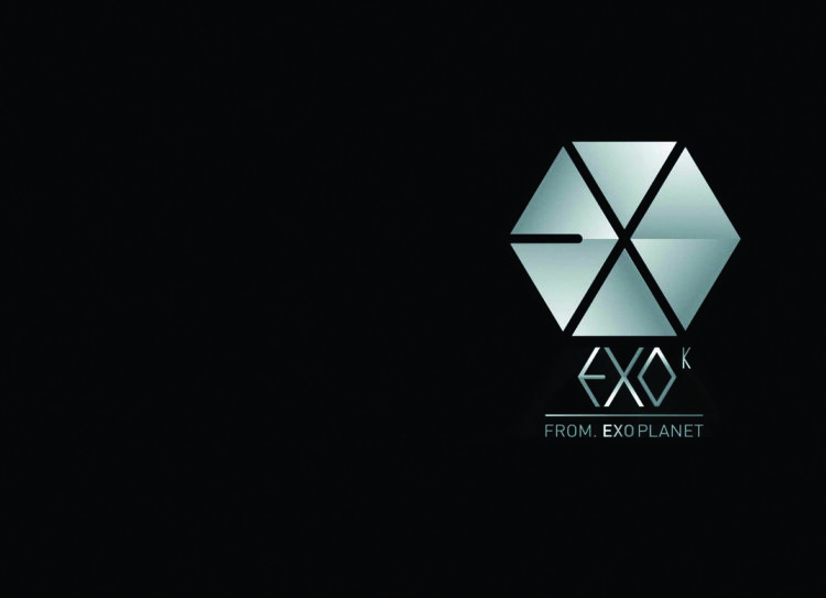 Обложка Exo для паспорта / автодокументов