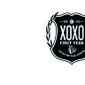 Обложка Exo first для паспорта / автодокументов