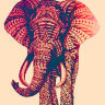 Обложка Слон для паспорта / автодокументов