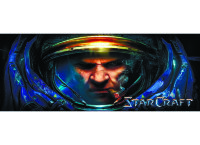 Обложка StarCraft для студенческого билета