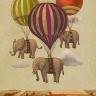 Обложка Слоны на шарах для паспорта / автодокументов