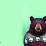 Обложка Медведь в свитере для паспорта / автодокументов