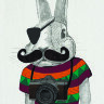 Обложка Модный кролик для паспорта / автодокументов