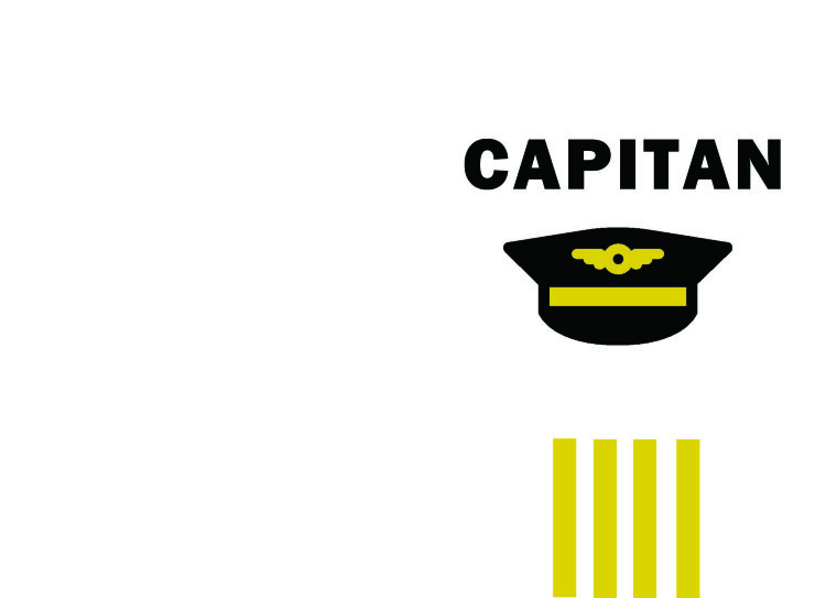 Обложка Capitan для паспорта / автодокументов