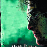 Обложка Harry Potter для паспорта / автодокументов