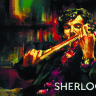 Обложка Шерлок для паспорта / автодокументов
