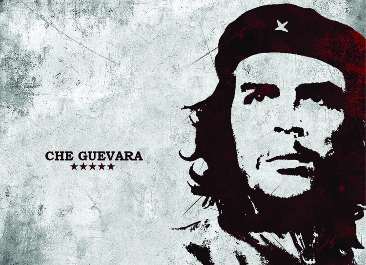 Обложка Che Guevara для паспорта / автодокументов