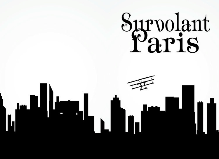 Обложка Survolant Paris для паспорта / автодокументов