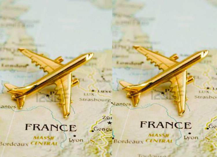 Обложка France для паспорта / автодокументов