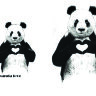 Обложка Panda Love для паспорта / автодокументов