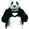 Обложка Panda Love для паспорта / автодокументов