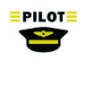 Обложка Pilot v2 для паспорта / автодокументов