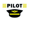 Обложка Pilot v3 для паспорта / автодокументов