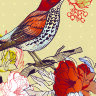 Обложка Осенняя птица для паспорта / автодокументов