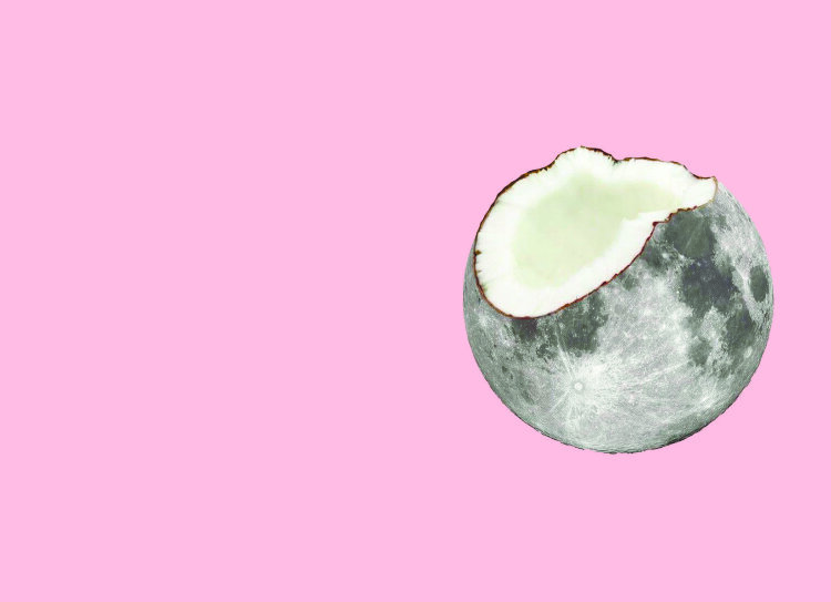 Обложка Coco moon Pink для паспорта / автодокументов