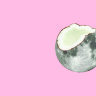 Обложка Coco moon Pink для паспорта / автодокументов