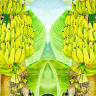 Обложка Banana paradise для паспорта / автодокументов